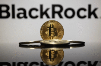 BlackRock вышла, Strategy зашла: как крупные инвесторы торгуют биткоином