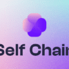 Генерального директора Self Chain отстранили после обвинений в мошенничестве на $50 млн в OTC-сделках